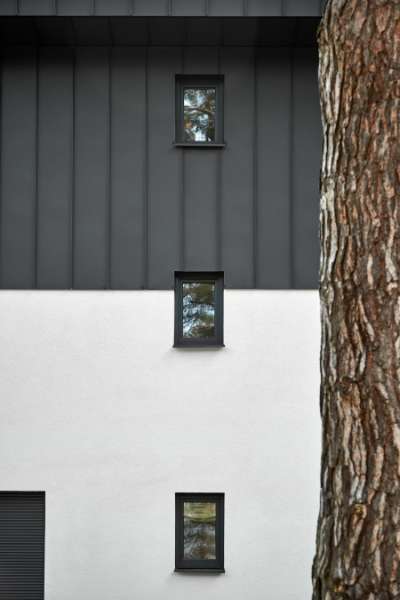 Suburban house in Berlin, clad in DS Nordic Click Seam, Haydnallee 71, 14612 Falkensee